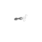 LOGO_rossosapore